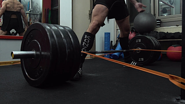 Examining the effect of Withania somnifera supplementation on muscle strength and recovery: a randomized controlled trial.