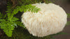 Study: Reduction of depression and anxiety by 4 weeks Hericium erinaceus (Lions Mane Mushroom) intake.